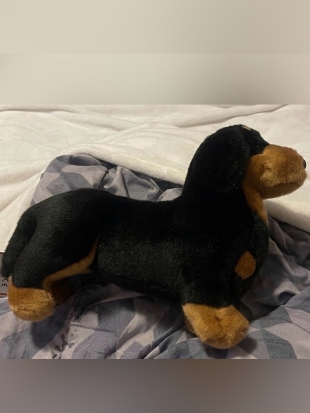 Spats Douglas daschund retired from 2002 rare